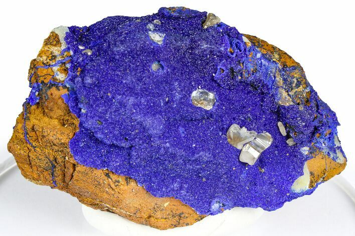 Cerussite Crystals on Sparkling Azurite - Congo #368228